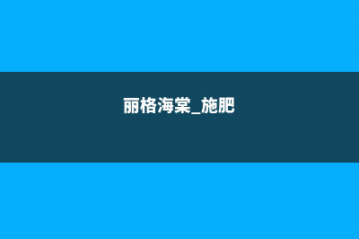 丽格海棠施肥技巧 (丽格海棠 施肥)