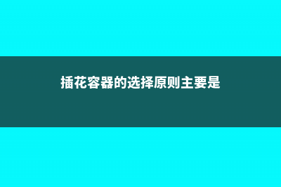 插花容器的选择方法 (插花容器的选择原则主要是)