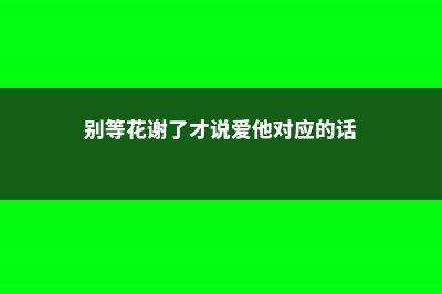 别等花不开才后悔，赶紧做这些保你花开满枝 (别等花谢了才说爱他对应的话)