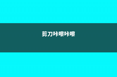 只要剪刀咔咔响，你的花就蹭蹭长 (剪刀咔嚓咔嚓)