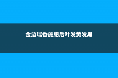 金边瑞香的施肥方法 (金边瑞香施肥后叶发黄发黑)