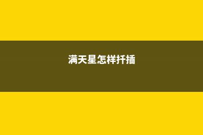 满天星怎么扦插 (满天星怎样扦插)