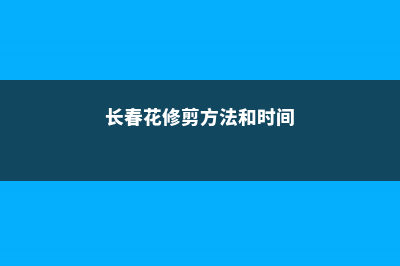 长春花的修剪方法 (长春花修剪方法和时间)