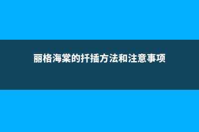 图解丽格海棠扦插 (丽格海棠的扦插方法和注意事项)