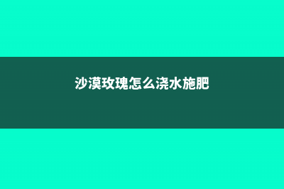 沙漠玫瑰怎么浇水和施肥 (沙漠玫瑰怎么浇水施肥)