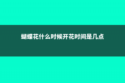 蝴蝶花什么时候播种 (蝴蝶花什么时候开花时间是几点)