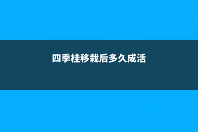 四季桂怎么移栽 (四季桂移栽后多久成活)