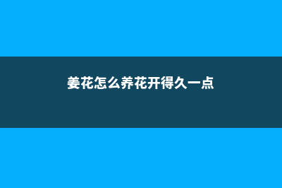 姜花要怎么施肥 (姜花怎么养花开得久一点)