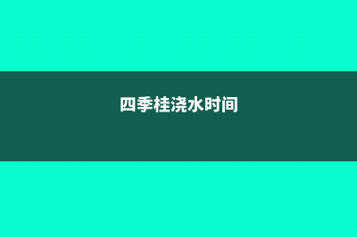 四季桂怎么浇水 (四季桂浇水时间)