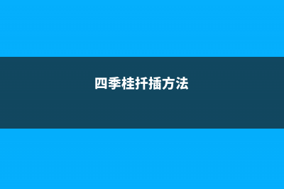 四季桂扦插 (四季桂扦插方法)