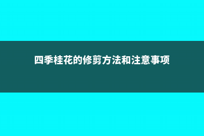 四季桂修剪方法 (四季桂花的修剪方法和注意事项)