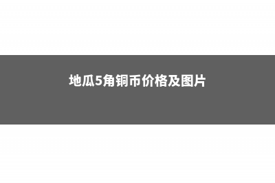 5毛钱的地瓜到了他手里，竟然翻了100倍 (地瓜5角铜币价格及图片)