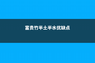 富贵竹，半土半水后长疯了 (富贵竹半土半水优缺点)