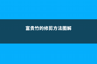 富贵竹的修剪方法 (富贵竹的修剪方法图解)