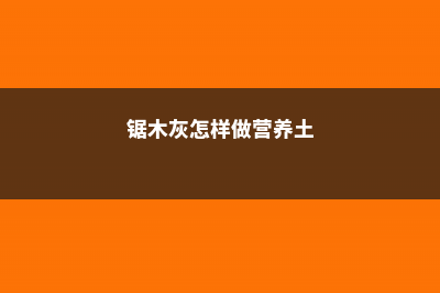 锯末草木灰拿来养花，再也不用施肥了 (锯木灰怎样做营养土)