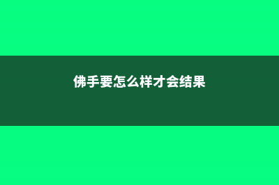 佛手多结果的方法 (佛手要怎么样才会结果)