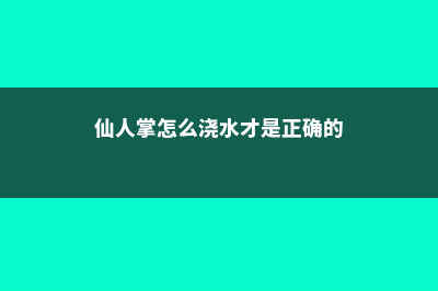 仙人掌怎么浇水和施肥 (仙人掌怎么浇水才是正确的)