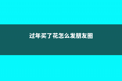 过年买的花这么养，3个月又能开爆 (过年买了花怎么发朋友圈)