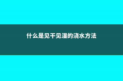 见干见湿薄肥勤施…养花的几个秘诀，你做对了吗 (什么是见干见湿的浇水方法)