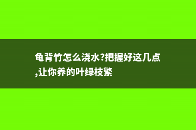 龟背竹怎么浇水 (龟背竹怎么浇水?把握好这几点,让你养的叶绿枝繁)