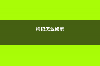 枸杞怎么修剪 (枸杞怎么修剪)