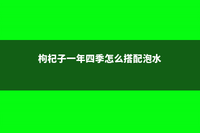 枸杞的四季养护方法 (枸杞子一年四季怎么搭配泡水)