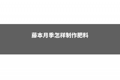 藤本月季怎样制作成月季拱门 (藤本月季怎样制作肥料)