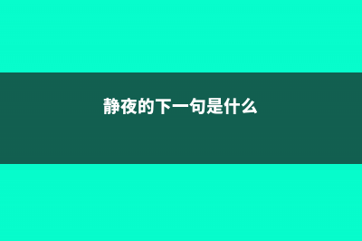 静夜的修根方法图解 (静夜的下一句是什么)