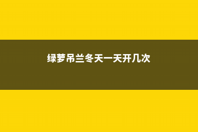 绿萝吊兰冬天一不留神就死了，学会这几招，保花不死 (绿萝吊兰冬天一天开几次)