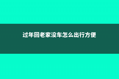 过年回老家，没人浇花怎么办 (过年回老家没车怎么出行方便)