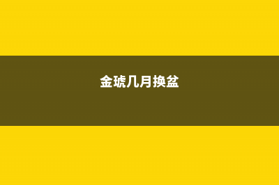 金琥球的四季养护要点 (金琥几月换盆)