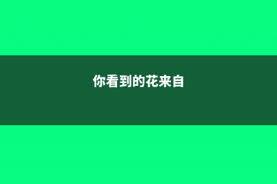 你的花草出现这些问题，赶紧治，不然悔死 (你看到的花来自)