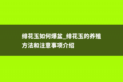 绯花玉怎么养才会多开花 (绯花玉如何爆盆 绯花玉的养殖方法和注意事项介绍)