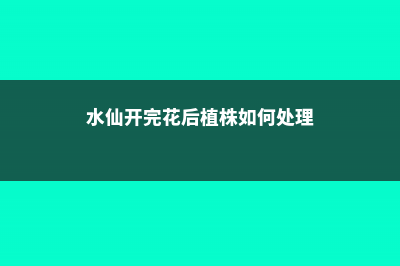 水仙开花过后种球如何保存 (水仙开完花后植株如何处理)