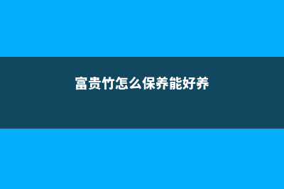 富贵竹怎么养鲜脆水灵、枝繁叶茂，让你旺财又旺运 (富贵竹怎么保养能好养)