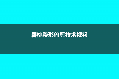 碧桃整形修剪技术 (碧桃整形修剪技术视频)