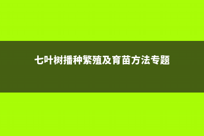 七叶树怎么繁殖 (七叶树播种繁殖及育苗方法专题)