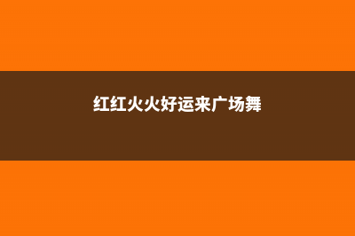 红红火火好运来，这6种花你一定要有1盆！ (红红火火好运来广场舞)