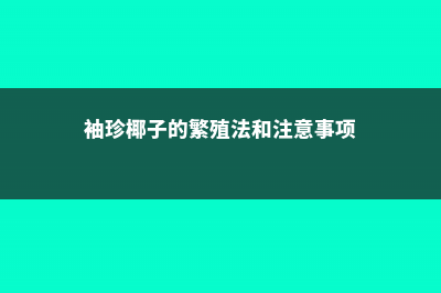 袖珍椰子怎么繁殖 (袖珍椰子的繁殖法和注意事项)