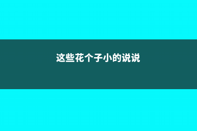 这些花个子小，爆起盆来却壮观无比 (这些花个子小的说说)