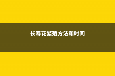 长寿花繁殖方法和注意事项 (长寿花繁殖方法和时间)