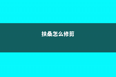 扶桑怎么修剪 (扶桑怎么修剪)