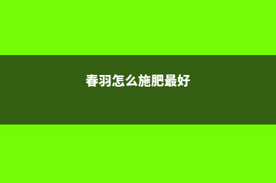 春羽怎么施肥 (春羽怎么施肥最好)