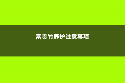 富贵竹全套养护技巧，再也不怕养不好了 (富贵竹养护注意事项)