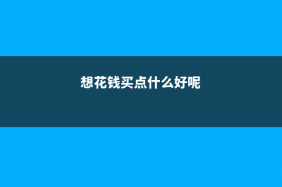 花啥钱买花！路边捡个种子就能种出绝美的盆栽 (想花钱买点什么好呢)