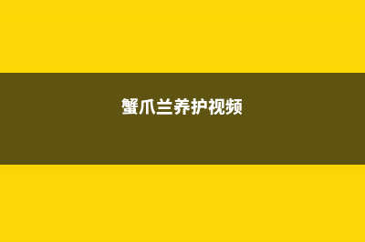 全能蟹爪兰养护手册，你遇见的问题全在这里了 (蟹爪兰养护视频)