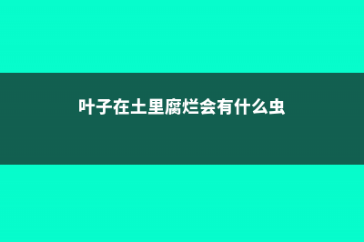 蹭掉的叶子插土里，第二年竟然爆盆了 (叶子在土里腐烂会有什么虫)