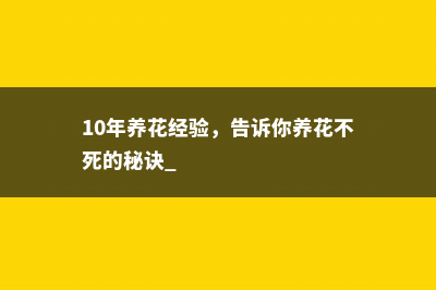 10年养花经验，告诉你养花不死的秘诀 