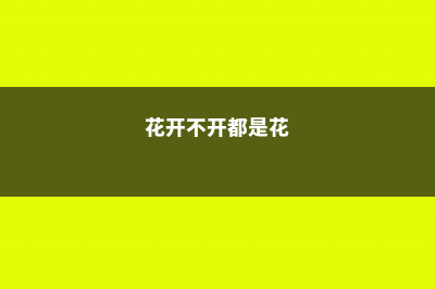 花不开是你人品不好？NO！是你没掌握这些技巧 (花开不开都是花)