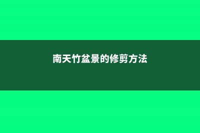 南天竹盆景的修剪方法 (南天竹盆景的修剪方法)